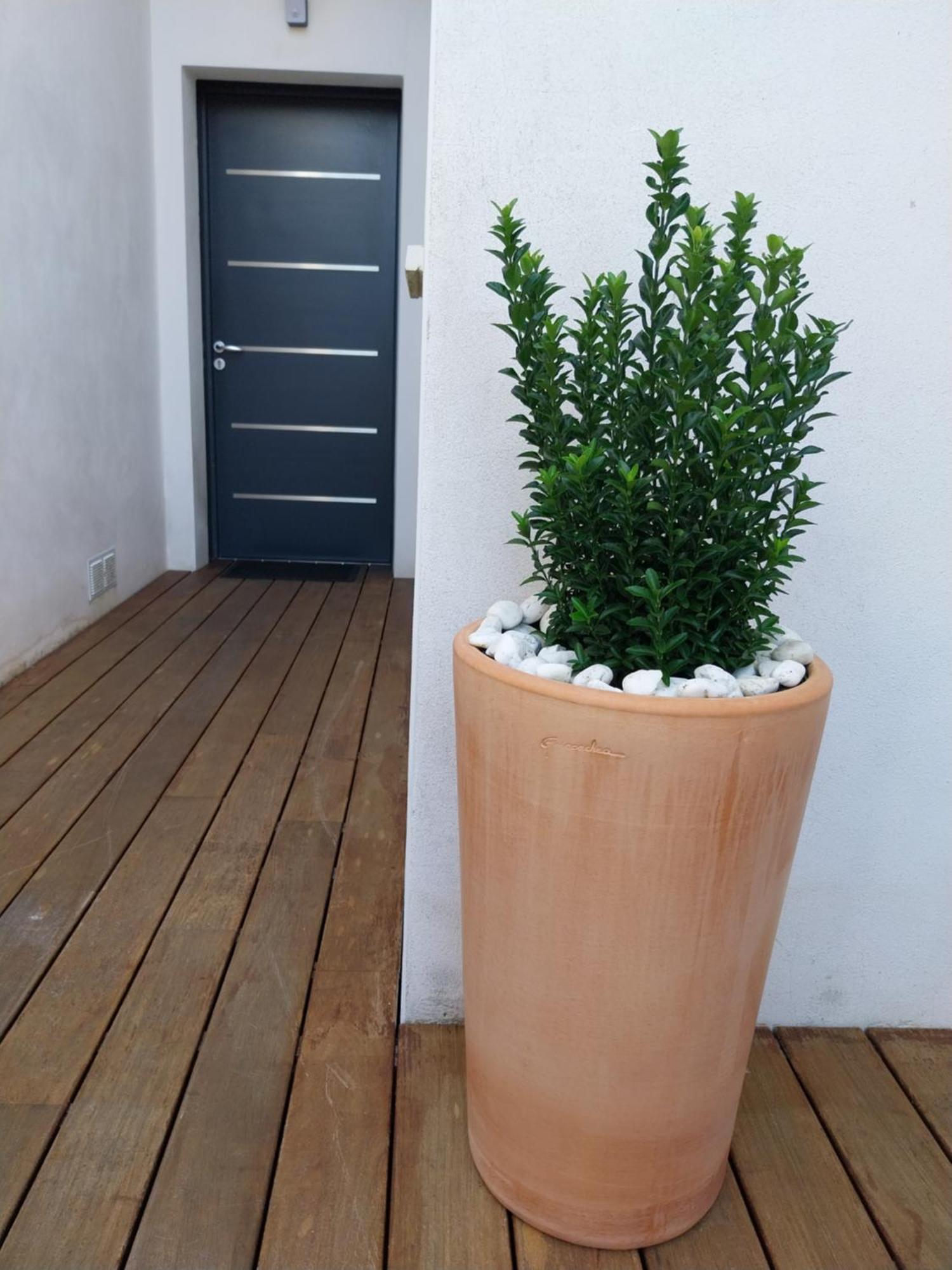 Studio Cocon Enea Bidart, Terrasse Et Parking Buitenkant foto